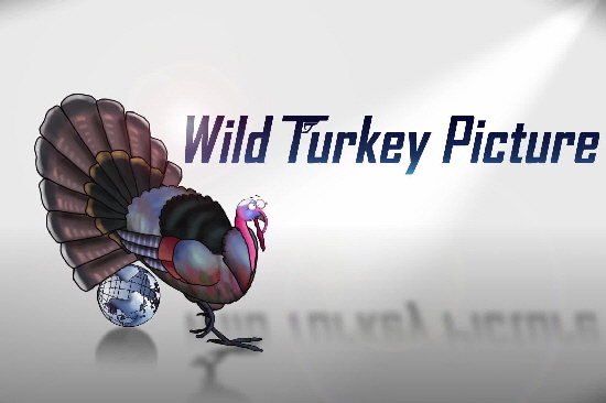 Wild Turkey Picture 3